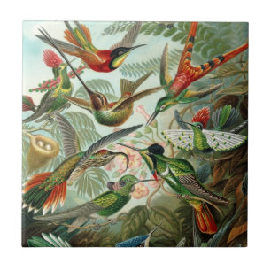 Cerâmica Azulejo de beija-flor