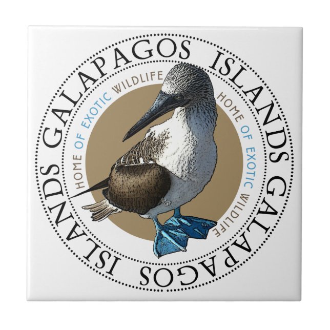Cerâmica Azulejo de Booby de Pé Azul (Frente)