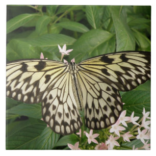 Cerâmica Azulejo de borboleta de pipa de papel