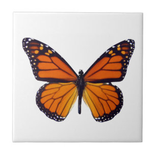 Cerâmica Azulejo de Borboleta Laranja