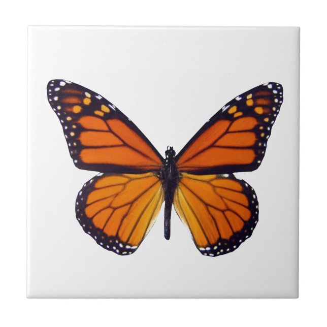 Cerâmica Azulejo de Borboleta Laranja (Frente)