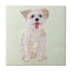 Cerâmica Azulejo de Cachorro Morkie