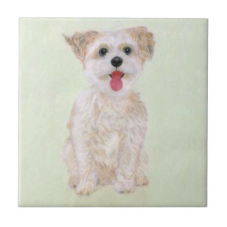 Cerâmica Azulejo de Cachorro Morkie