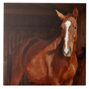 Cerâmica azulejo de cavalo de celeiro