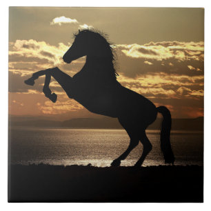 Cerâmica azulejo de cavalo do pôr do sol