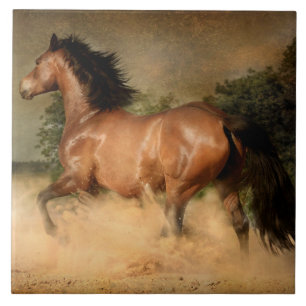 Cerâmica azulejo de cavalo selvagem