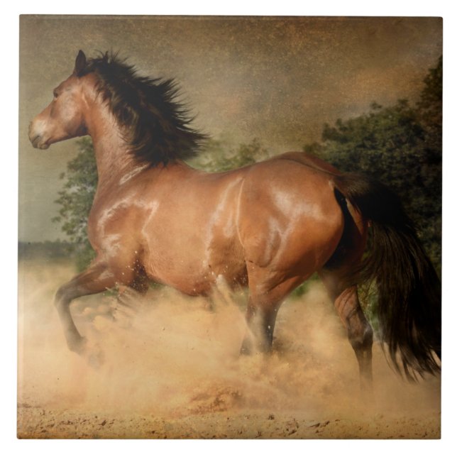 Cerâmica azulejo de cavalo selvagem (Frente)