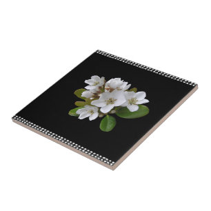 Cerâmica Azulejo de cerâmica, branco e preto