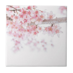 CERÂMICA  AZULEJO DE CERÂMICA: CHERRY BLOSSOM