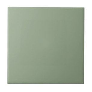 Cerâmica Azulejo de cor sólida verde-claro