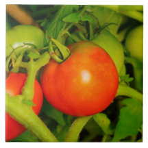 Azulejo de cora/Trivet da cozinha das belezas