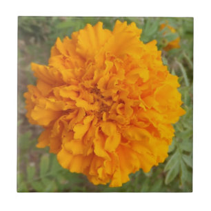 Cerâmica Azulejo de Cravagem Laranja