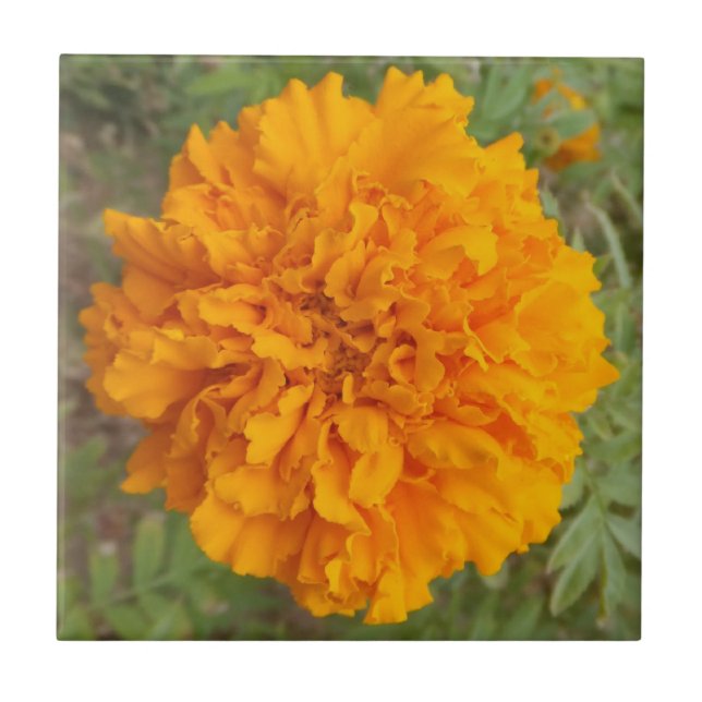 Cerâmica Azulejo de Cravagem Laranja (Frente)