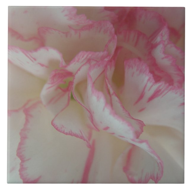 Cerâmica Azulejo de Cravo Branco e Rosa (Frente)