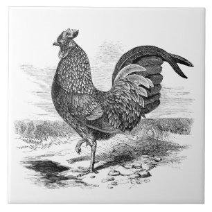 Cerâmica Azulejo de decoração da fazenda de galinha de safr
