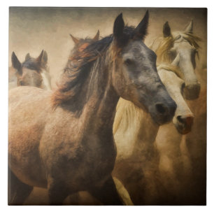 Cerâmica azulejo de estouro de cavalos