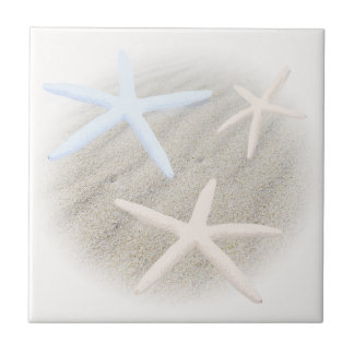 Cerâmica Azulejo de Estrela-do-Mar na Areia da Praia