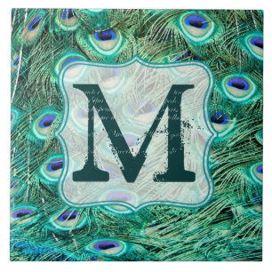 Cerâmica Azulejo de Exibição do Monograma de Pássaros de Pá