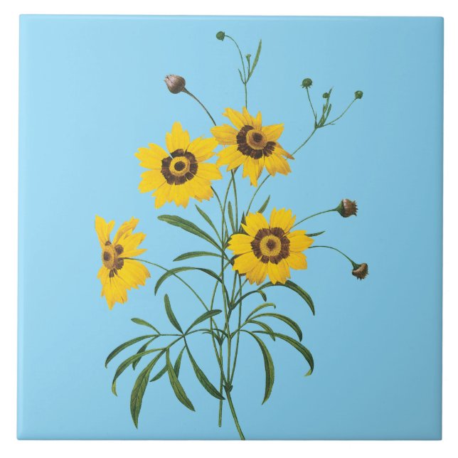 Cerâmica Azulejo de Flor de Coreopsis Redoute (Frente)