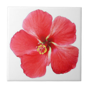 Cerâmica Azulejo de Flor Red Hawaiian Hibiscus