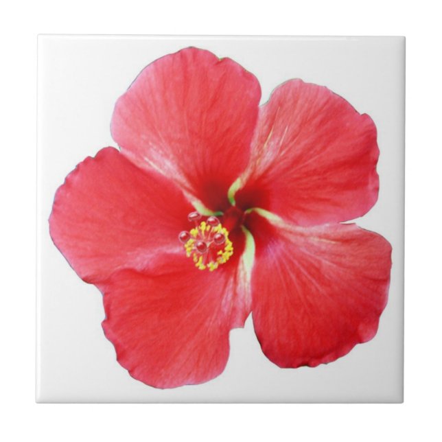 Cerâmica Azulejo de Flor Red Hawaiian Hibiscus (Frente)