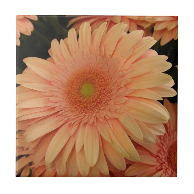 Cerâmica Azulejo de Flor Rosa (Frente)