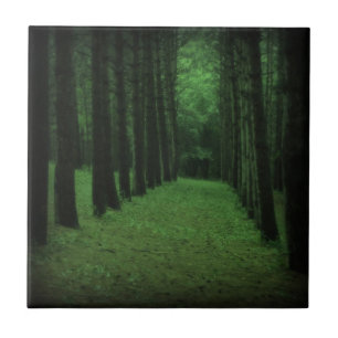 Cerâmica Azulejo de Floresta Encantado