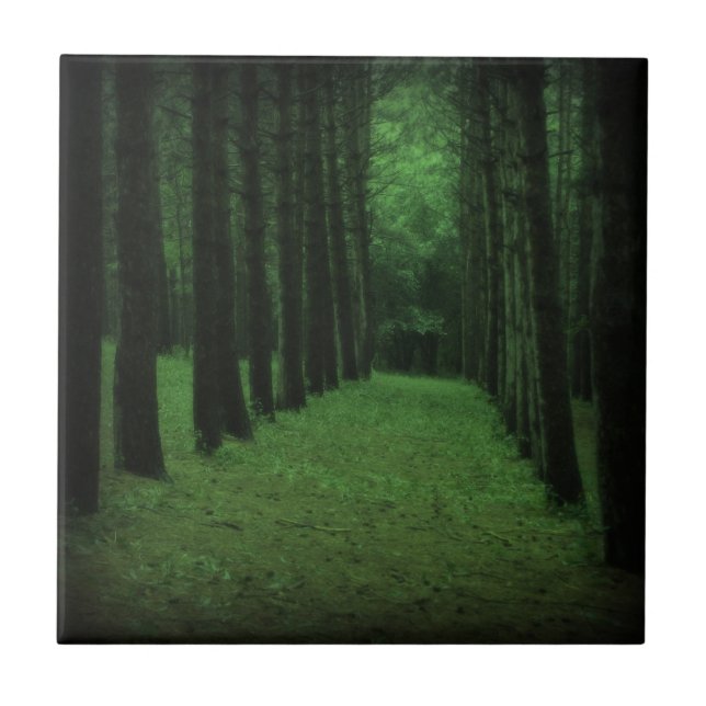 Cerâmica Azulejo de Floresta Encantado (Frente)