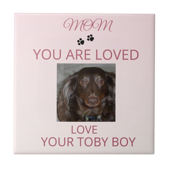 Cerâmica Azulejo de Foto de Amor de Mãe de Pet (Frente)