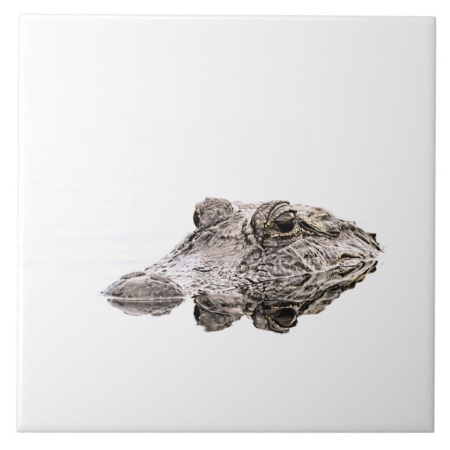 Cerâmica Azulejo de Foto do Gator (Frente)