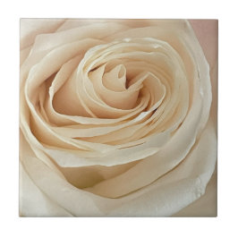 Cerâmica Azulejo de Foto Rosa Branca