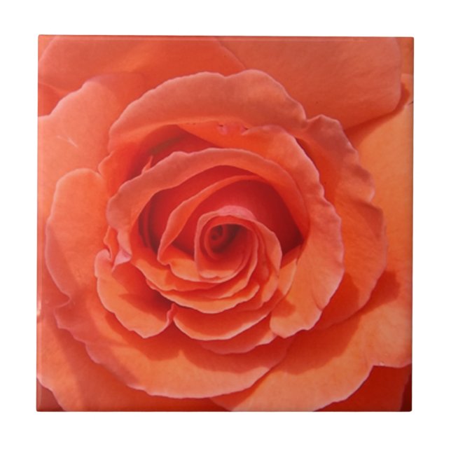 Cerâmica Azulejo de fotos cerâmicas por rosa (Frente)