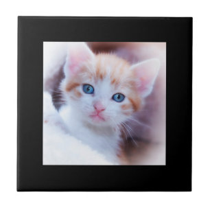 Cerâmica Azulejo de Fotos de Borda Preta