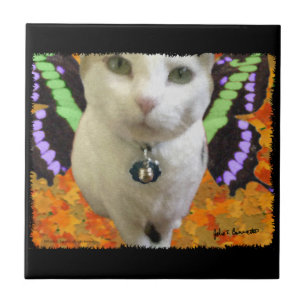 Cerâmica Azulejo de Gato de Leite
