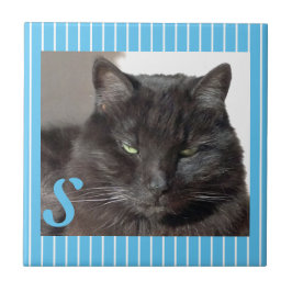 Cerâmica Azulejo de Gatos Cerâmicos Personalizados