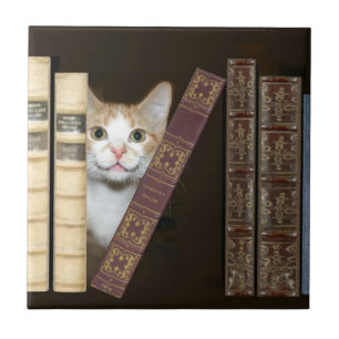 Cerâmica azulejo de gatos e livros