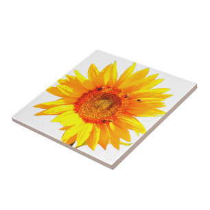 Cerâmica Azulejo de girassol amarelo