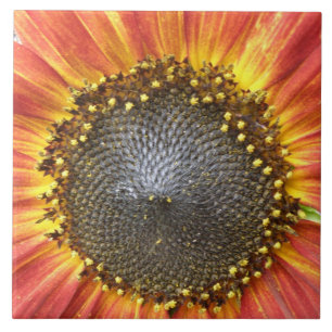 Cerâmica Azulejo de girassol vermelho e amarelo