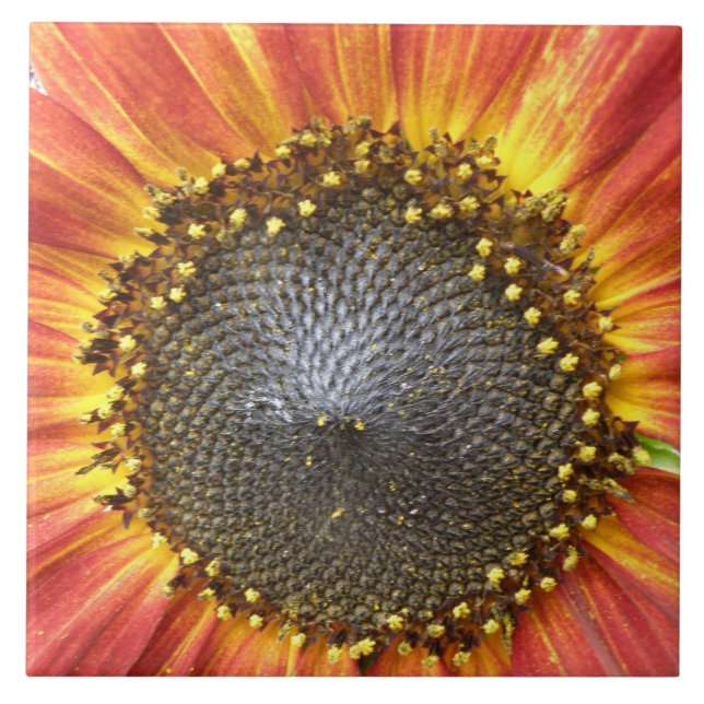 Cerâmica Azulejo de girassol vermelho e amarelo (Frente)