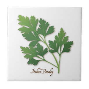 Cerâmica Azulejo de Herb da Salsa Italiana