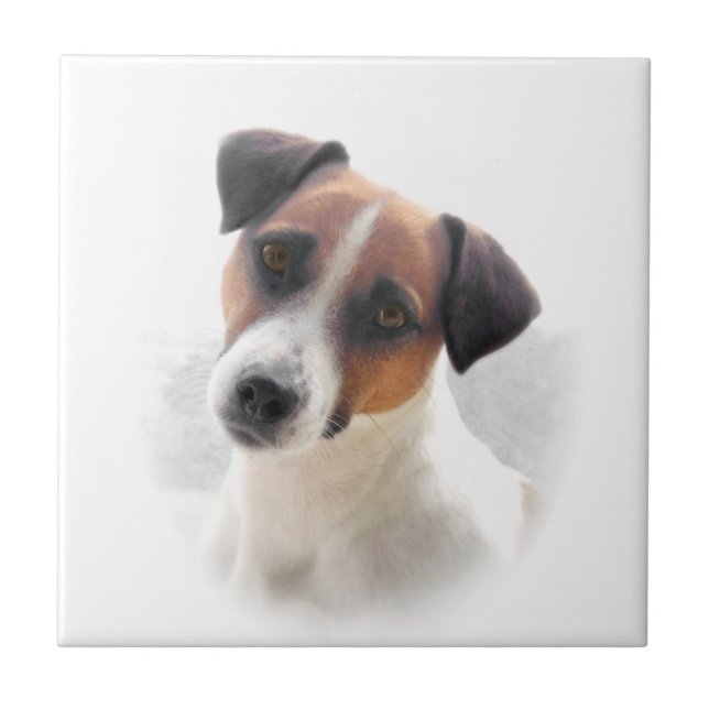Cerâmica Azulejo de Jack Russel Terrier (Frente)