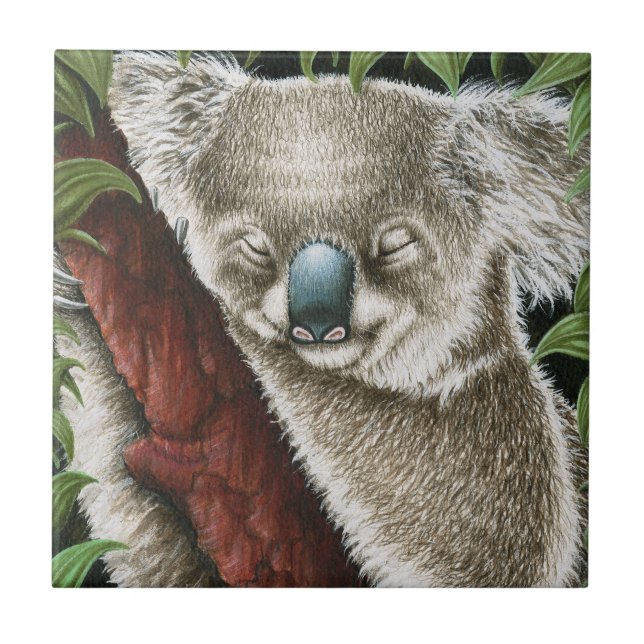 Cerâmica Azulejo de Koala dormindo (Frente)