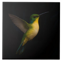 Azulejo de Luxo Preto 4 com Hummingbird Voador