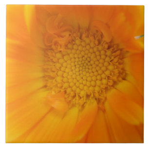Cerâmica Azulejo de Macro Laranja Marigold