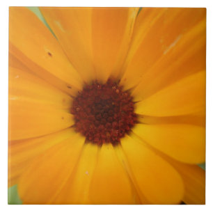 Cerâmica Azulejo de margarida de chuva laranja