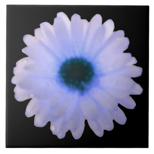 Cerâmica Azulejo de Marigold branco e azul
