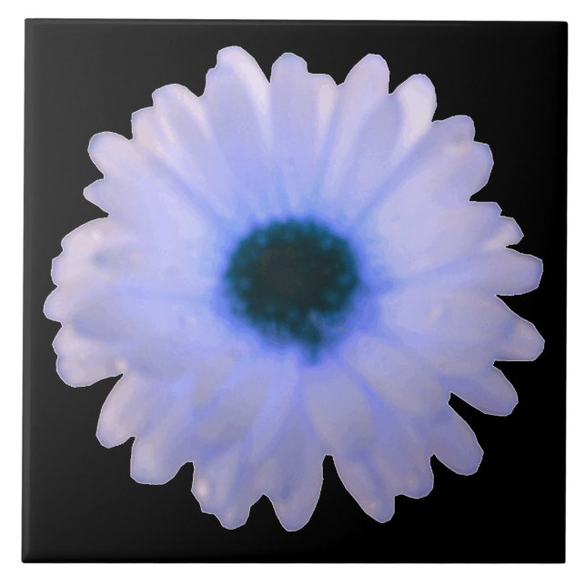 Cerâmica Azulejo de Marigold branco e azul (Frente)