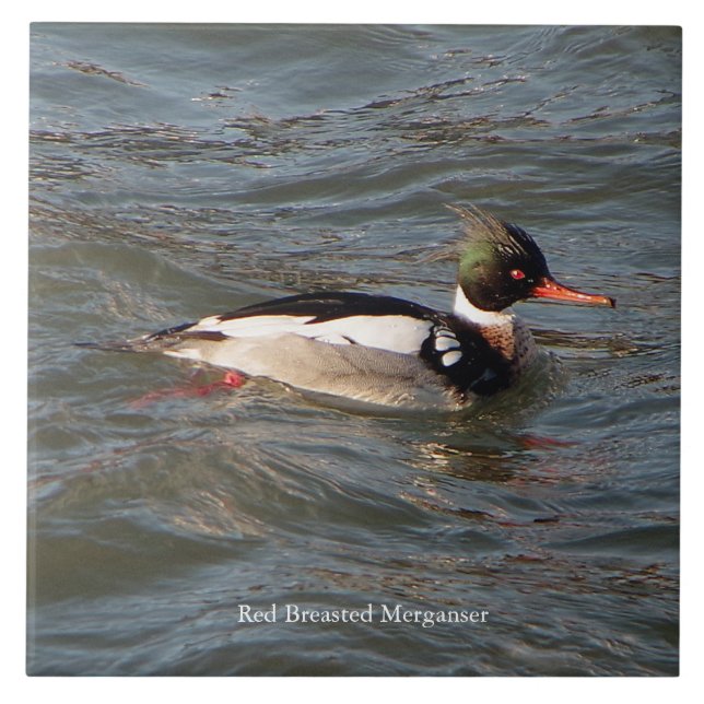 Cerâmica Azulejo de Merganser vermelho quebrado (Frente)