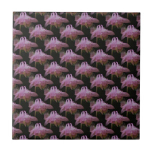 Cerâmica Azulejo de Natureza de Arte Floral Columbina Rosa
