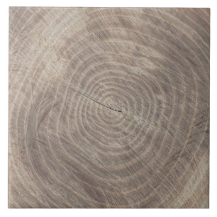 Cerâmica Azulejo de olhar de madeira russa